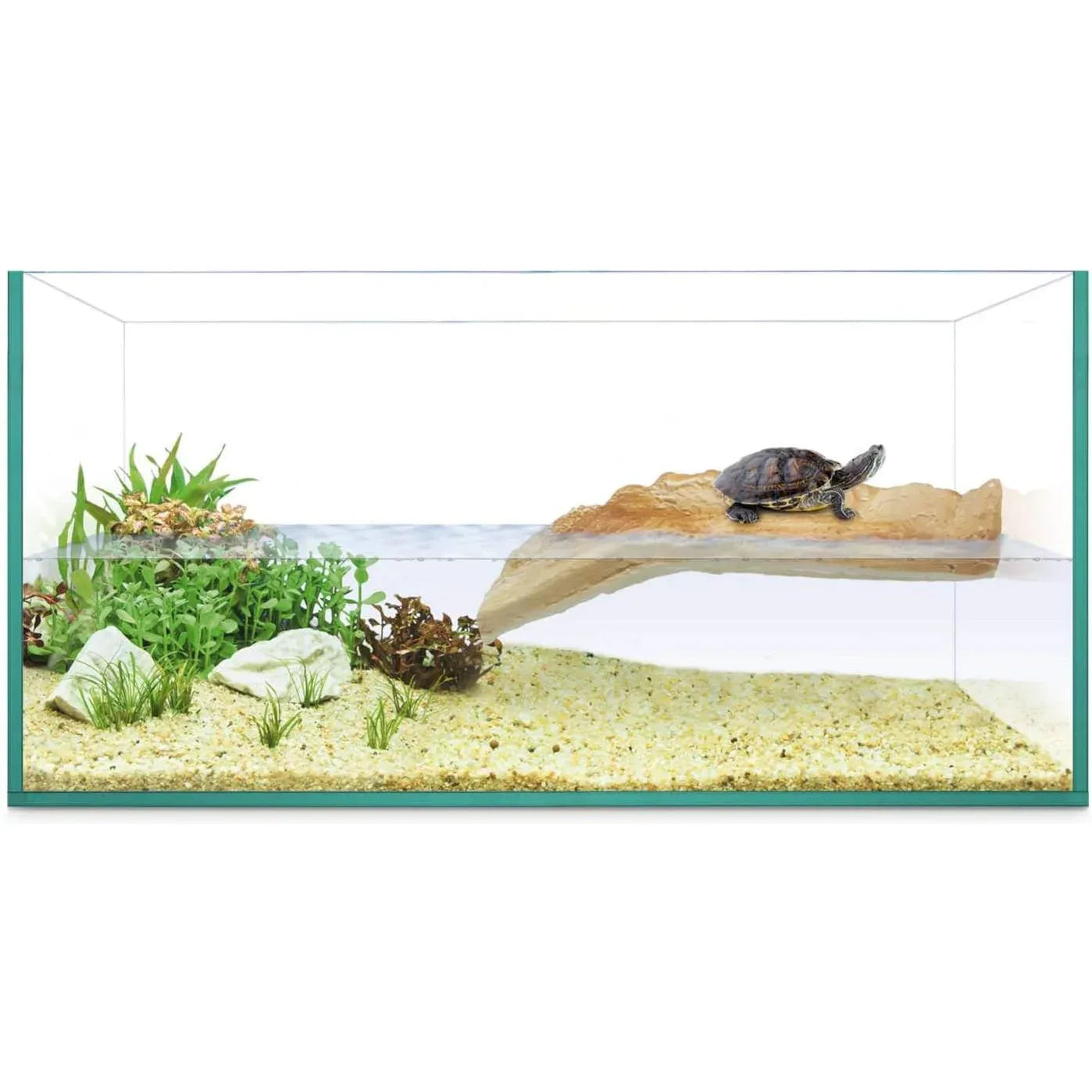 ICA Glass Turtle Terrarium Isla 40cm Transparent with Ramp - Gomix Brands Outlet